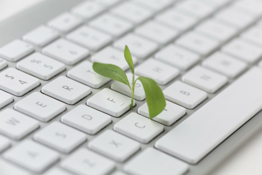 Keyboard With Small Plant